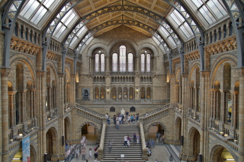 Natural History Museum, London, view of the main hall, project by Alfred Waterhouse.