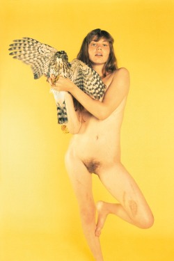 ryanmcginley:    Amanda (Hawk), 2011  