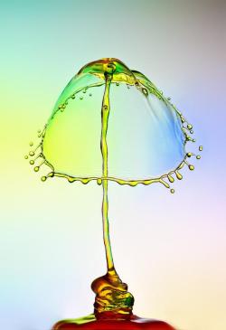 fer1972:  Water Drops Photography by Heinz-Maier