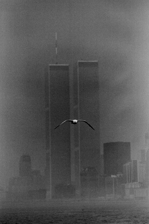 luzfosca:  Louis Stettner Twin Towers, 1979 