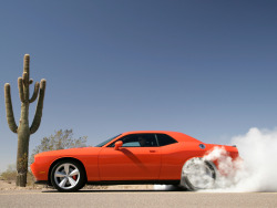 fullthrottleauto:  Dodge Challenger SRT8 Burnout
