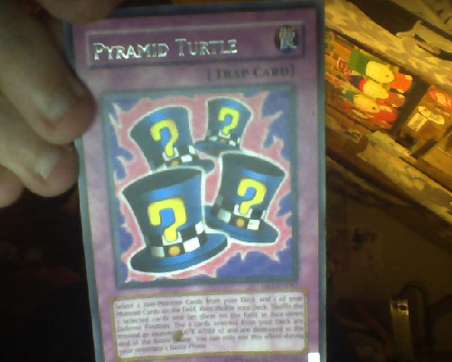 nerdgasmz:  2ummoner:  I like sitting in my room, because it has things I looked at a pile of yugioh cards and remembered this misprint I got from a pack of cards years and years and years ago 0u0 Fine looking pyramid turtle  this is the best misprint