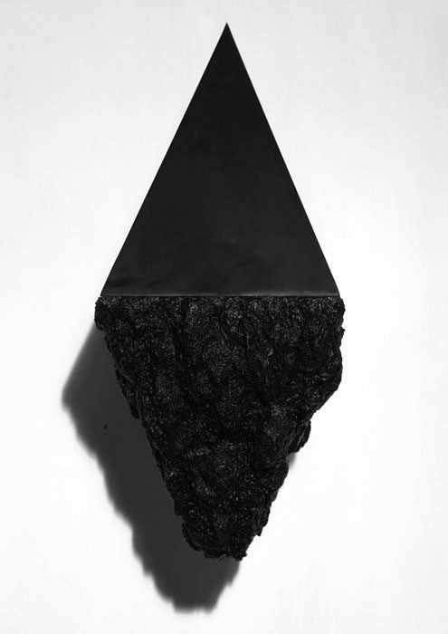 CROW BONES