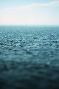 metrodorus:  rain you guys should check out rainymood too because its win. 