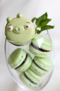 gastrogirl:  mint macarons with an ‘angry