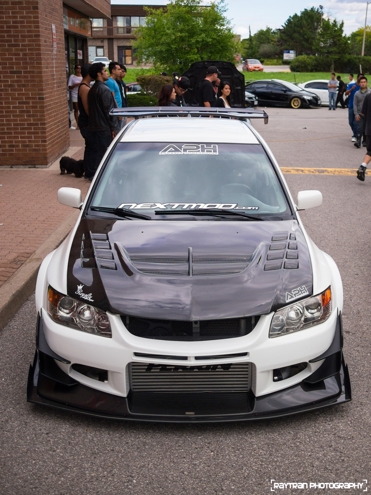 carbonking:  fuckyeahhellaflush:          (via TumbleOn)