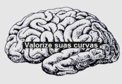 depredando:  mas também dizem por aí que a mais bela curva do corpo humano… é o sorriso. 