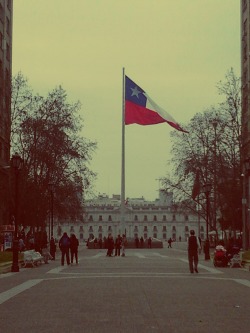 train-to-nowhere:  Puta que es linda la bandera