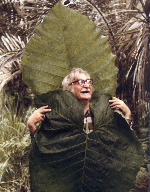 Roberto Burle Marx, a Brazilian landscape architect (as well as a painter, print maker, ecologist, n