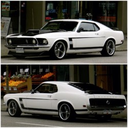 cargramm:  *ฺBOSS 302*ฺ #muscleday #ford