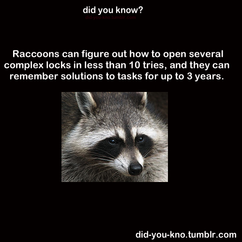 did-you-kno:  Source