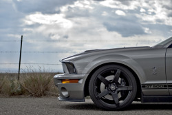 automotivated:  ShelbyToes (by Lunchbox PhotoWorks)