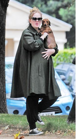 mama-adele:  OMG ANOTHER  !!!!!  I CAN’T  