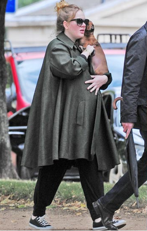 mama-adele:  OMG ANOTHER  !!!!!  I CAN’T  