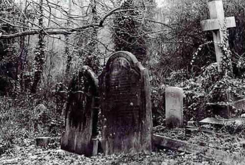Elegy for a Dream