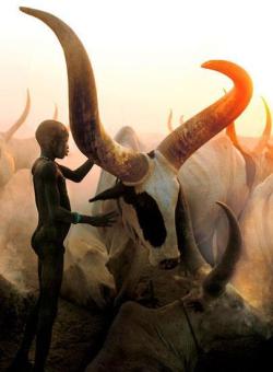 faith-in-humanity:  Sudan © Carol Beckwith &amp; Angela Fisher Dinka children lavish endless care and affection on their animals which are considered part of the family: male youths are named after favored oxen in the hope that they will mature with