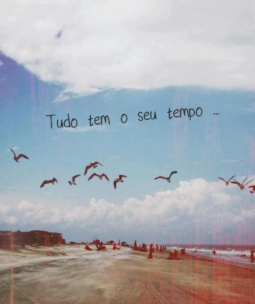 Migrei para outro tumblr