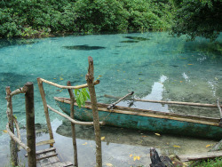 visitheworld:  Idyllic spring-fed Riri Riri river in Espiritu Santo Island, Vanuatu (by Fxlopes).