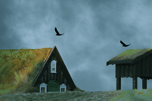 eredion:Old Icelandic house by Aðalheiður Guðmundsdóttir on Flickr.Odin’s ravens? :)
