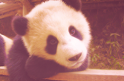 i will love you in this lifetime and all that follow