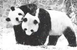 i will love you in this lifetime and all that follow
