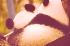i will love you in this lifetime and all that follow