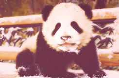 i will love you in this lifetime and all that follow
