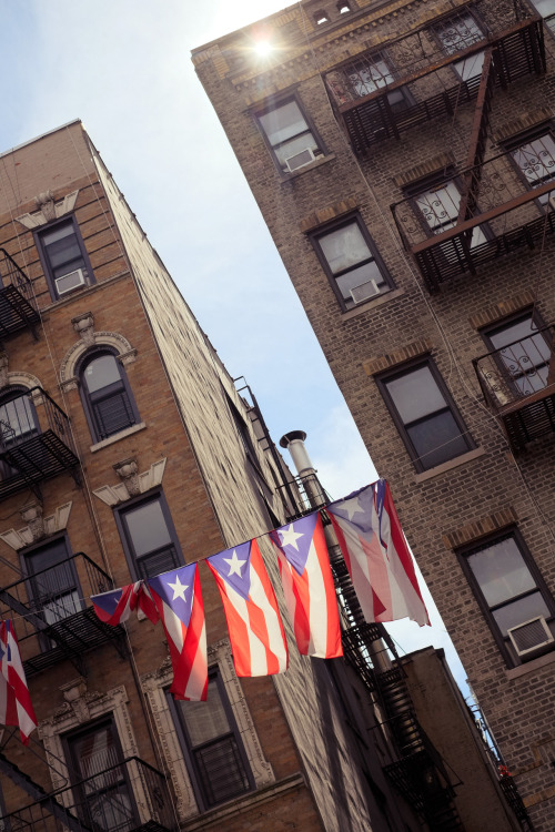 kasperjj:  Love the way the sun catches these flags… can’t stop myself from taking a new photo every time I walk by…