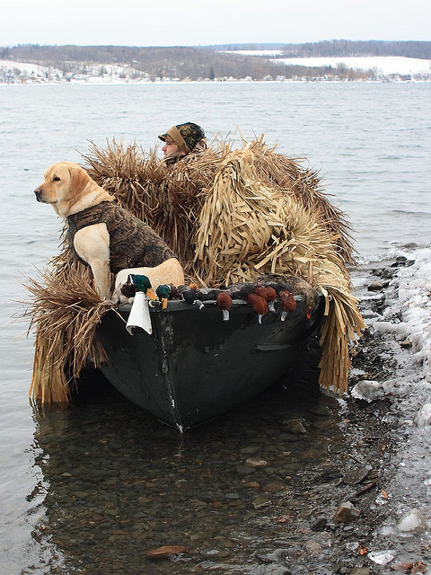pheasants-and-grouse:  Ally and Mike on Keuka Lake by Colin Clement Photography on