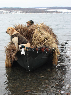 Pheasants-And-Grouse:  Ally And Mike On Keuka Lake By Colin Clement Photography On