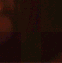  “Top 6 Stelena gifs” requested by paulwesleyisgod 