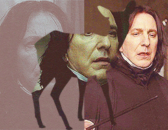 You see, we have not been able to keep a Defence Against the Dark Arts professor for