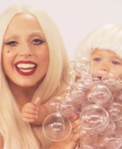 Paws UP