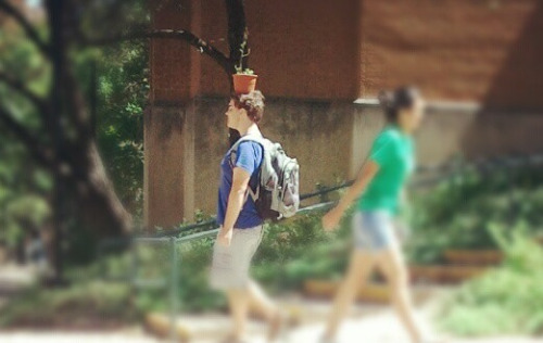 stellarsarah: This dude walks around campus everyday with a potted plant on his head I’m not e