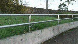 awkward-elevator:  cat sitting on a railing like a human