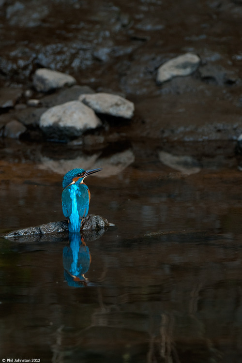 earth-song:  “Jewel of the River” by Phil Johnston 