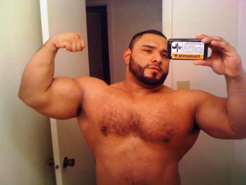 BEAR PORN