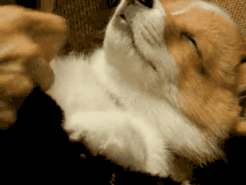 tumblr_ma849qAub01qzizmho1_500.gifv