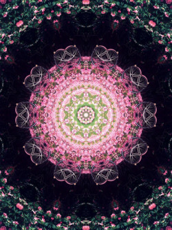 chichiliki:  For MANDALA GIFS  here For