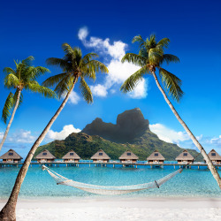 fiji-oceans:  stackinn:  Island: Bora Bora  ocean blog! 