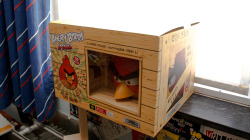 kevienpictures:  Got myself new Angry Birds