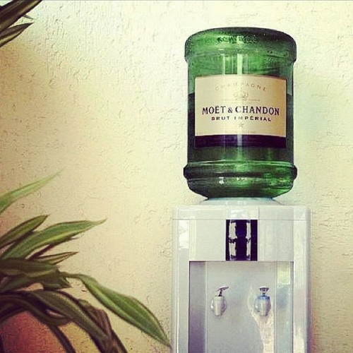 befairbefunky:  Celebrate Life Moet & Chandon Cooler ♥  I need one of these for my room. :-)