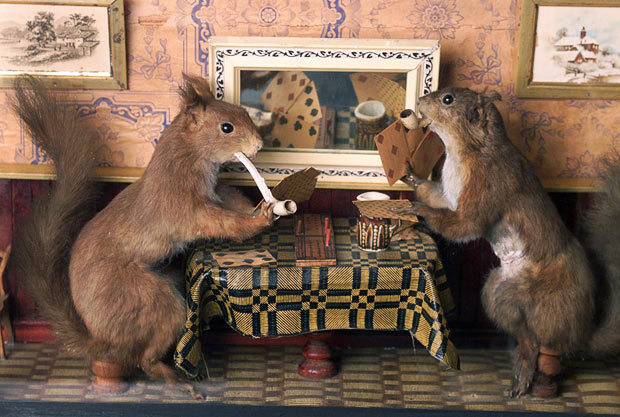 Victorian Era Fan Guide — A taxidermy display by Walter Potter of  squirrels...