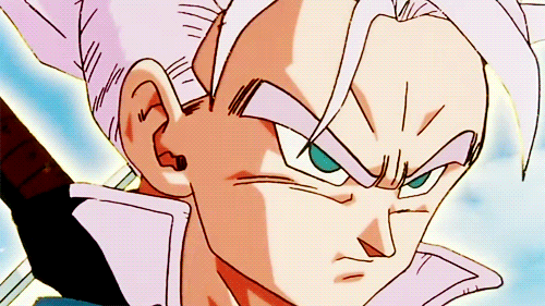 Tenkaichi Budokai