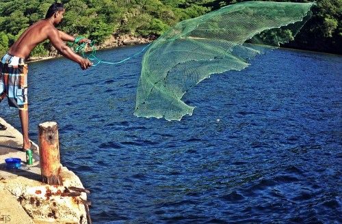 “Here fishy fishy fishy!” Catching bait, Chacachacarie, Trinidad 2012