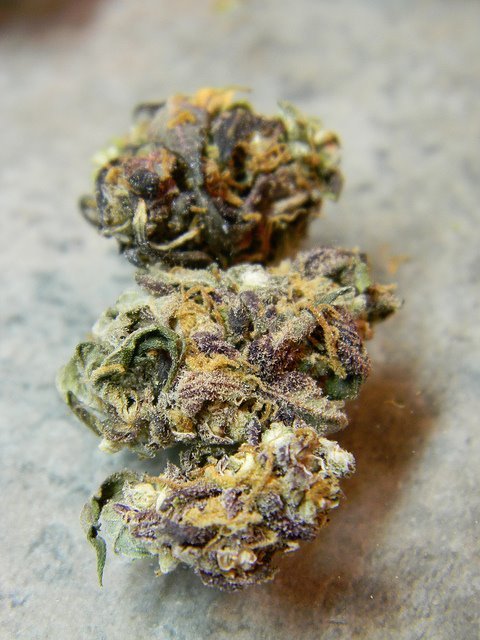 HIGH ALL DAY