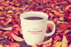 autumncozy:  By Connor Brereton [IM BACKK!] on Flickr