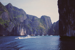 hazyy:  phi phi islands by pearled on Flickr.