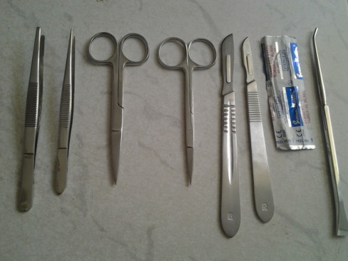 gravetears: my dissection kit