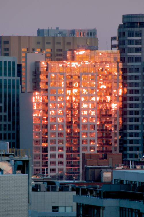 hiromitsu: fiery angle of incidence by michaelleckman on Flickr.